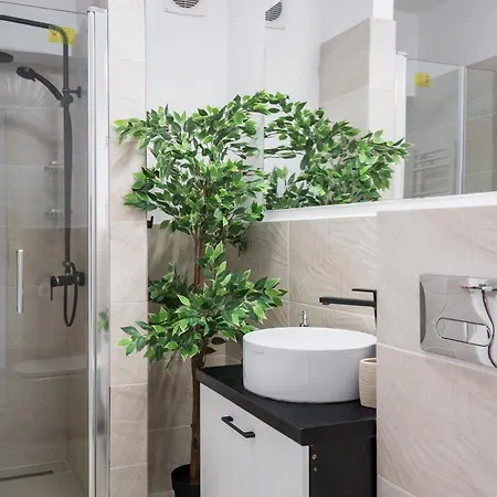 Big - 3br - Piata Unirii Appartement *