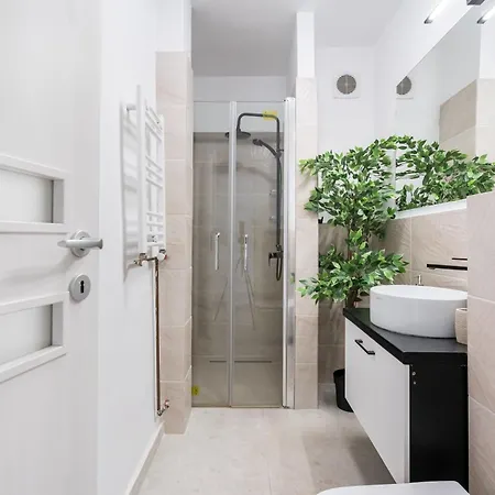 Big - 3br - Piata Unirii Apartment *